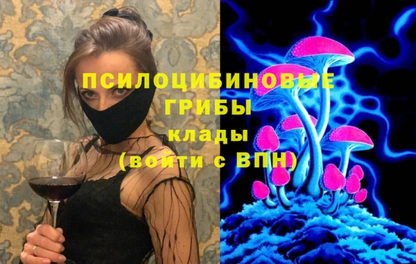 гашик Абаза