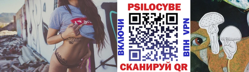 Псилоцибиновые грибы Psilocybe  Тимашёвск 